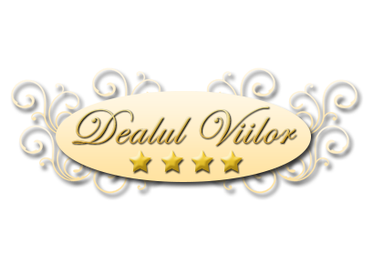 Logo Dealul Viilor